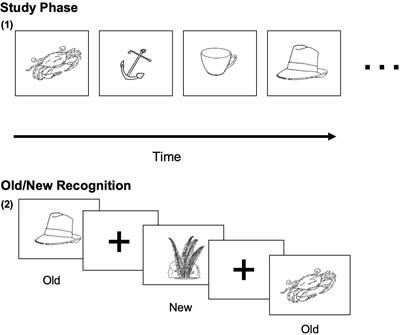 Discriminating Fake From True Brain Injury Using Latency of Left Frontal Neural Responses During Old/New Memory Recognition